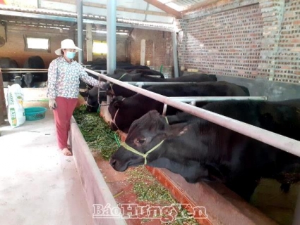 Hưng Yên: Chăn nuôi an toàn sinh học theo quy trình Vietgap