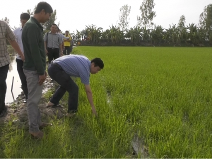 Chủ tịch tỉnh Đồng Tháp động viên mô hình nông nghiệp hướng hữu cơ