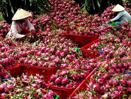 Trung Quốc đang tăng cường các rào cản kỹ thuật, “cấm cửa” hay siết nhập khẩu tiểu ngạch với hàng loạt mặt hàng nông sản