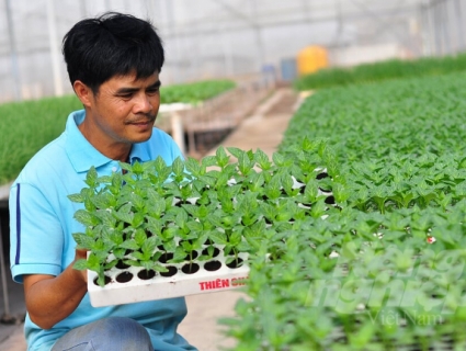 Lâm Đồng: Phấn đấu đứng đầu cả nước về nông nghiệp hữu cơ